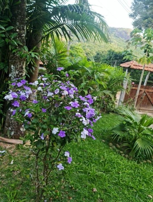 Villa Sitio Borges Petrópolis Exterior foto